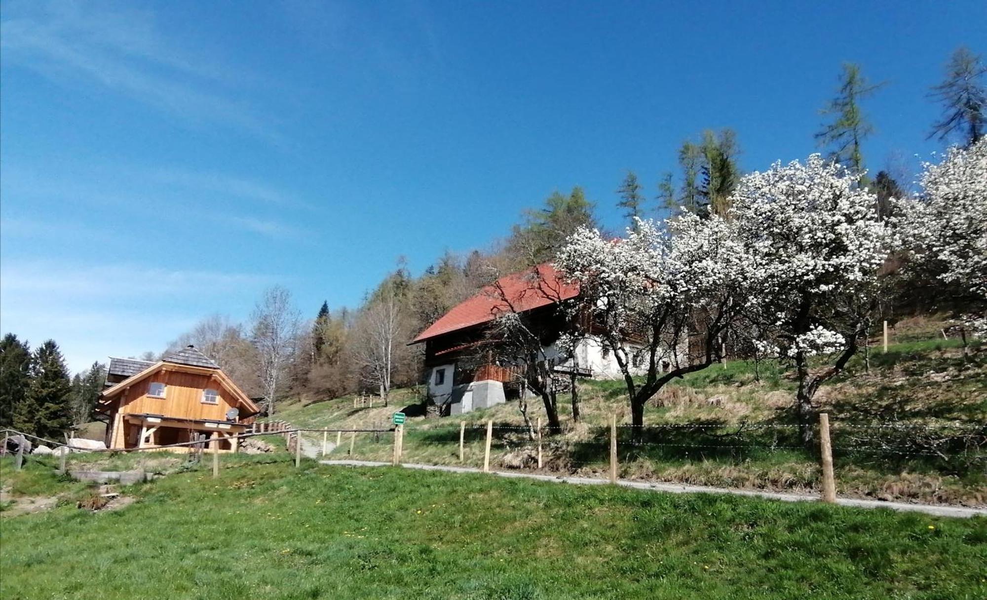 Villa Laerchenhaus ,,Unterer Brodl" Sankt Peter am Kammersberg Exterior foto