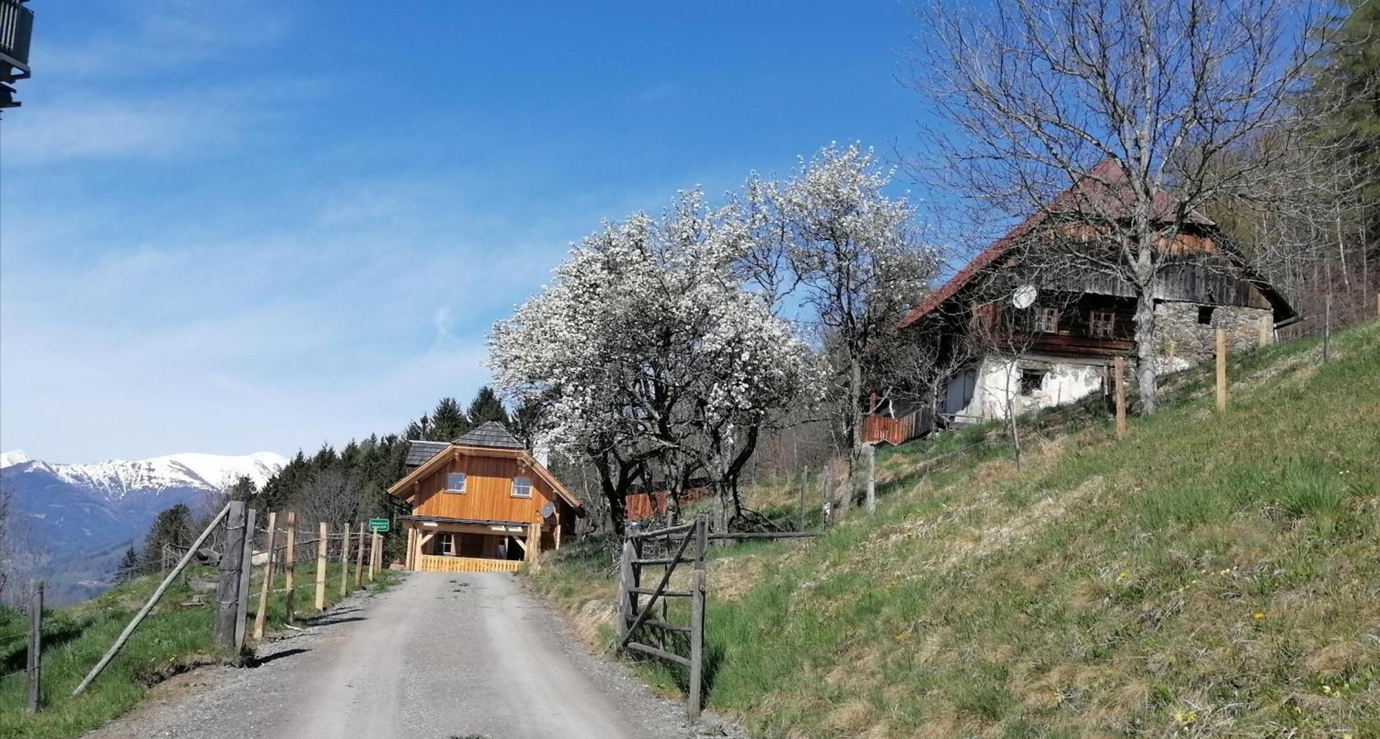 Villa Laerchenhaus ,,Unterer Brodl" Sankt Peter am Kammersberg Exterior foto